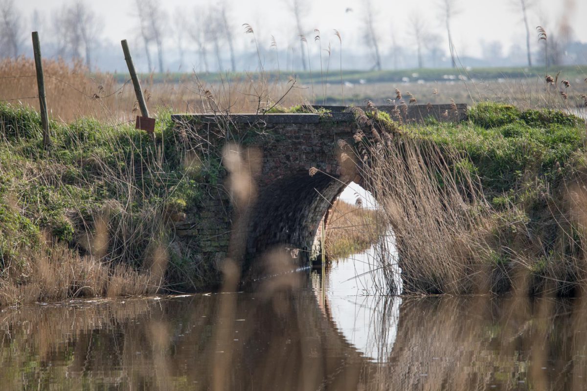 Sfeerfoto’s van de polderlandschappen rond Sint-Laureins en Sint-Margriete in het Meetjesland. Gemaakt in de omgeving van het vakantieverblijf de Heilige Rita. Het vakantiehuis is genoemd naar de patrones van de hopeloze gevallen, geliefd en bekend bij iedereen die kracht zoekt en inspiratie vindt in haar levensverhaal. De vakantiewoning is gelegen tegenover de kerk van het dorp Waterland-Oudeman. Vlakbij bevindt zich het restaurant de Roste Muis. foto: Désiré Naessens.