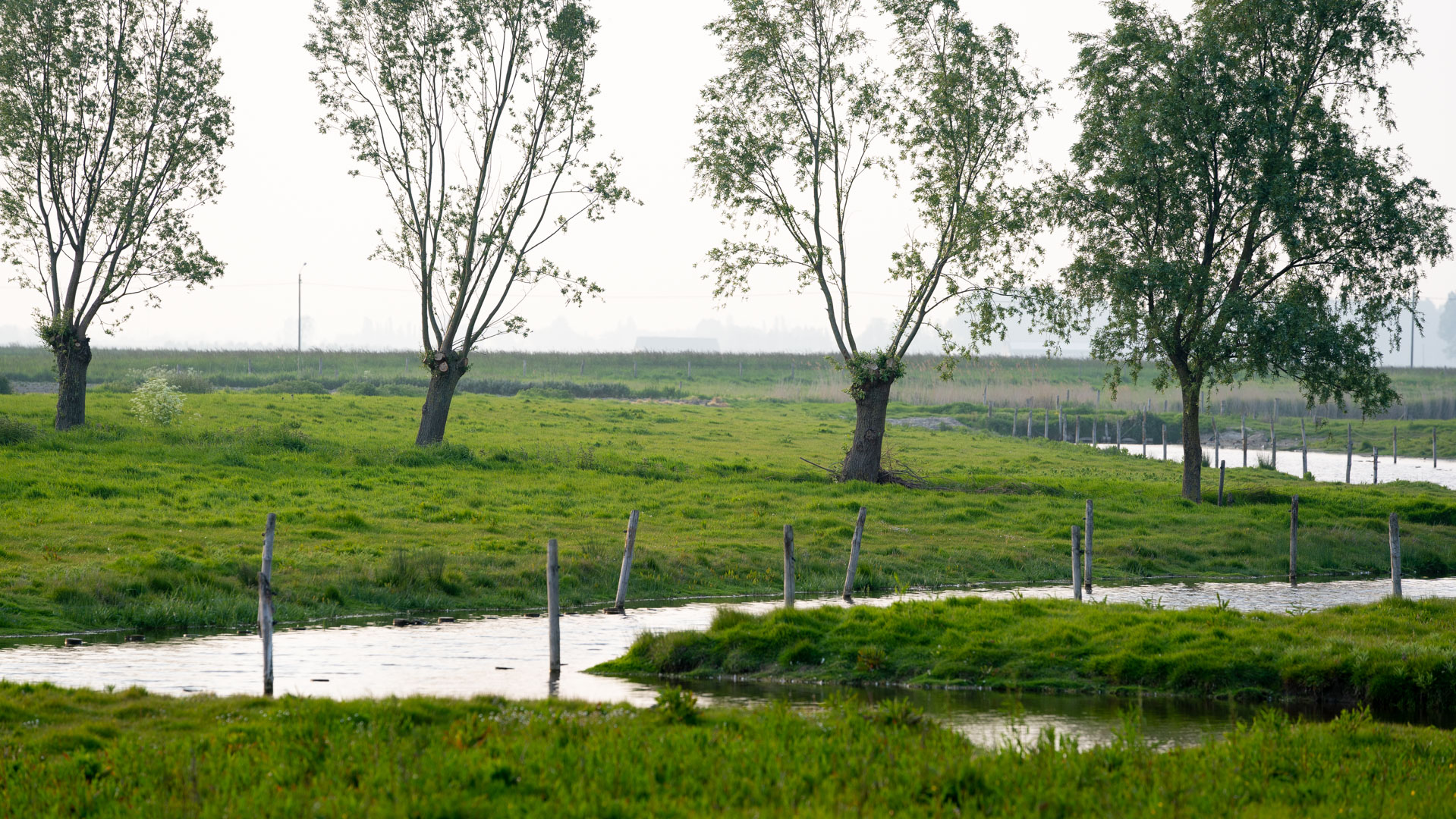 Van den vos Reynaert, Elmare, fietsroutes, huwelijken, Kiara Haegeman, krekengebied, oudemanskreek, Paling, palingrestaurant De Roste Muis, Peter Haegeman, recepties, roste muis, sfeerkroeg, tea-room, vakantiewoning De Heilige Rita, web: beeldconnectie / DNA Reportages 
