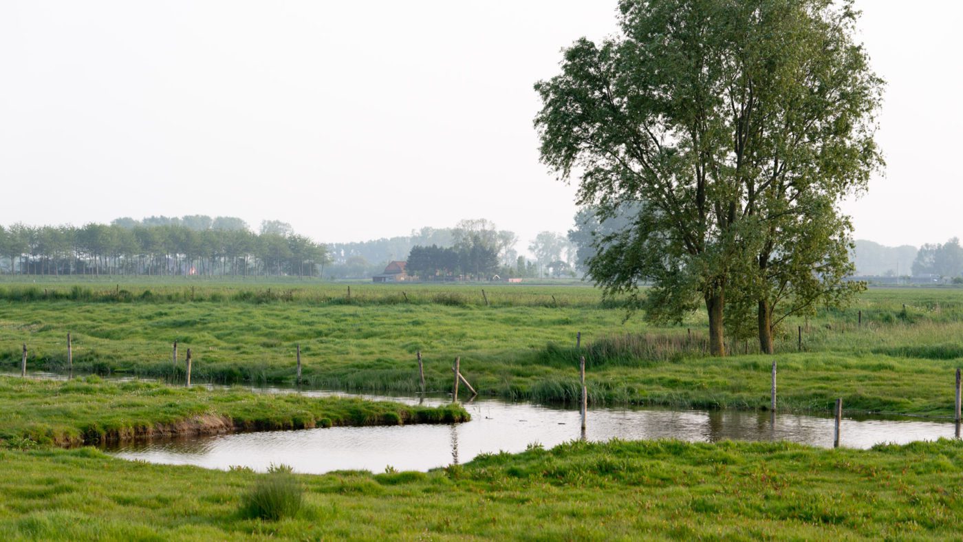 Van den vos Reynaert, Elmare, fietsroutes, huwelijken, Kiara Haegeman, krekengebied, oudemanskreek, Paling, palingrestaurant De Roste Muis, Peter Haegeman, recepties, roste muis, sfeerkroeg, tea-room, vakantiewoning De Heilige Rita, web: beeldconnectie / DNA Reportages