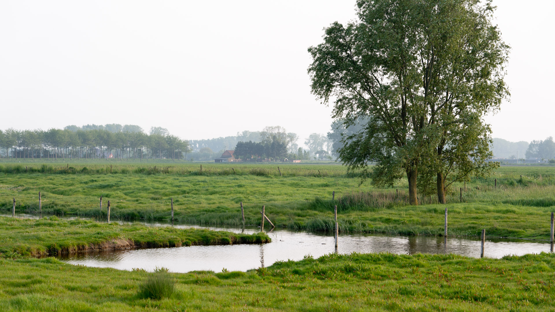Van den vos Reynaert, Elmare, fietsroutes, huwelijken, Kiara Haegeman, krekengebied, oudemanskreek, Paling, palingrestaurant De Roste Muis, Peter Haegeman, recepties, roste muis, sfeerkroeg, tea-room, vakantiewoning De Heilige Rita, web: beeldconnectie / DNA Reportages