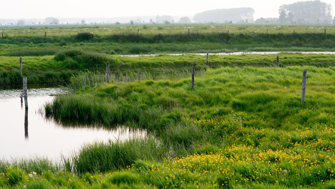 Sfeerfoto’s van de polderlandschappen rond Sint-Laureins en Sint-Margriete in het Meetjesland. Gemaakt in de omgeving van het vakantieverblijf de Heilige Rita. Het vakantiehuis is genoemd naar de patrones van de hopeloze gevallen, geliefd en bekend bij iedereen die kracht zoekt en inspiratie vindt in haar levensverhaal. De vakantiewoning is gelegen tegenover de kerk van het dorp Waterland-Oudeman. Vlakbij bevindt zich het restaurant de Roste Muis.