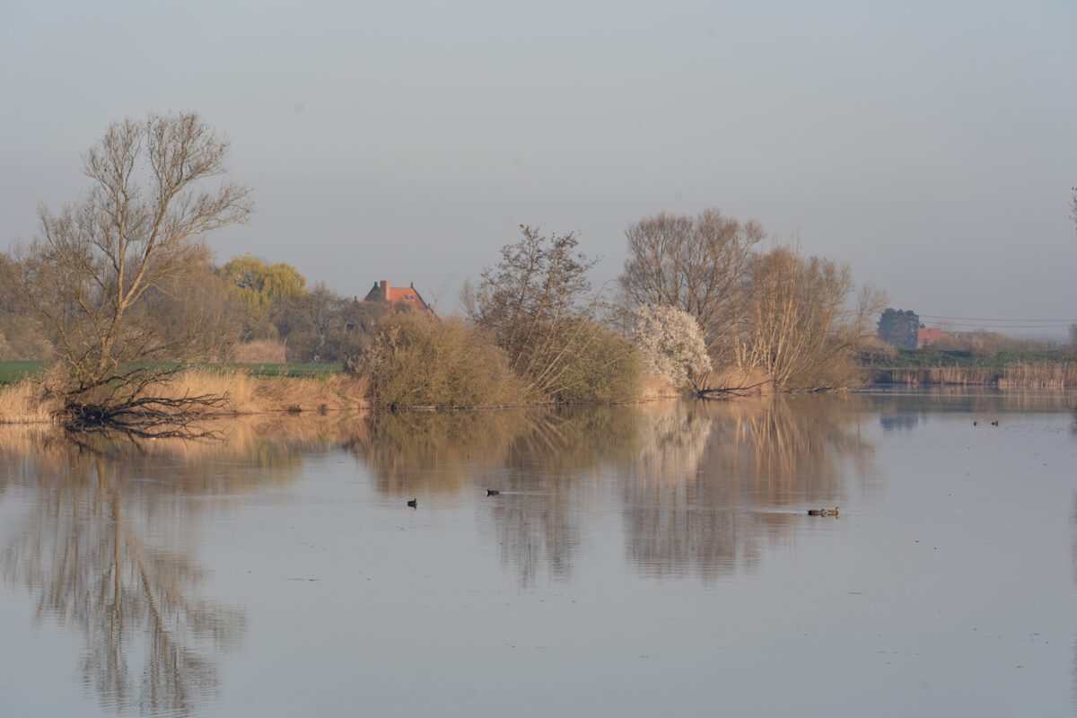 De roste muis, palingrestaurant, streekgerechten, menu, drijdijk 2, Waterland-Oudeman, Peter Haegeman, Sint-Laureins, natuurbeleving, natuurgebieden, tea-room, vakantiewoning de Heilige Rita, Bentille, Eeklo, restaurants Eeklo, restaurants Meetjesland, Meetjesland, toerisme, fietstochten, vakantiehuis, vakantiegroeten, op vakantie in het Meetjesland, Groeten uit de Polders, poldergebied, de polderstreek, Sluis, Waterlandkerje, Assende, Sint-Margriete, Reynaert De Vos, Elmare, ‘Als de vos de passie preekt boer let op uw ganzen’ van Chris Ferket, priorij Benedictijnen, 14 de eeuw, Epos van Reynaert de Vos, Reynaert de Vos als pelgrim op bezoek in Elmare, krekengebied, kiekendieven, palinggerechten, palinghuizen, houtlanders, luxe-vakantiewoning, toeristische trekpleister, Sint-jan, kerkje van Sint-Jan-de-Doper, turfstekers, wilde ganzen, wielertoerisme, maisdoolhof, bezienswaardigheden, fotografie & web Désiré Naessens, op restaurant gaan, roste muis doolhof, polderzicht, vakantiehuis, vakantiewoning, vakantie, vakantiewoning de heilige rita, de roste muis openingstijden, openingsuren, reserveren, https://derostemuis.be, https://deheiligerita.be, https/beeldconnectie.com