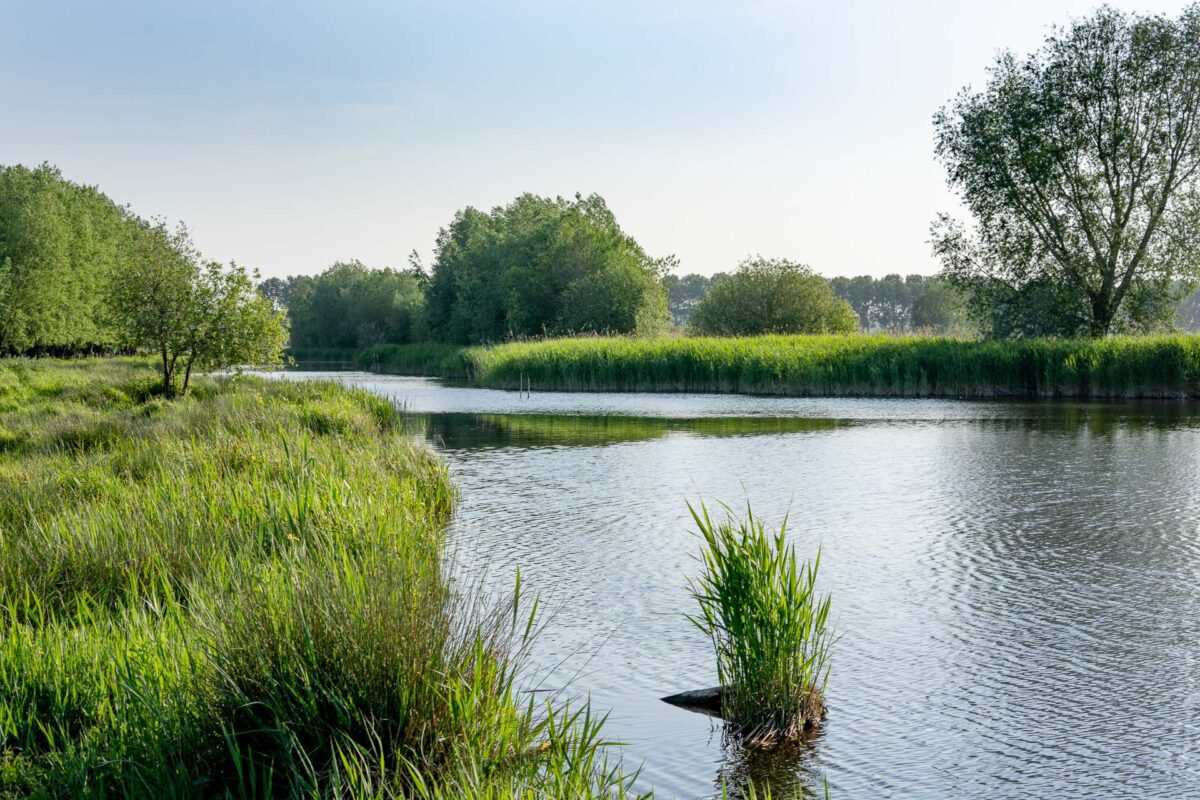 vrouwkenshoek kreek in het Meetjesland